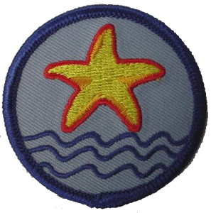 Benchmark Award Patch (10 pk)