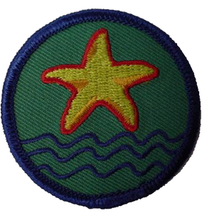 Benchmark Award Patch (10 pk)