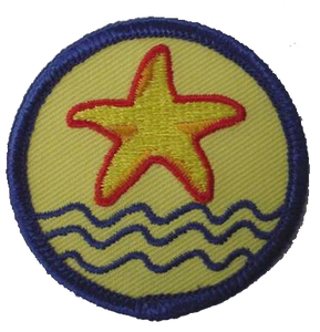 Benchmark Award Patch (10 pk)