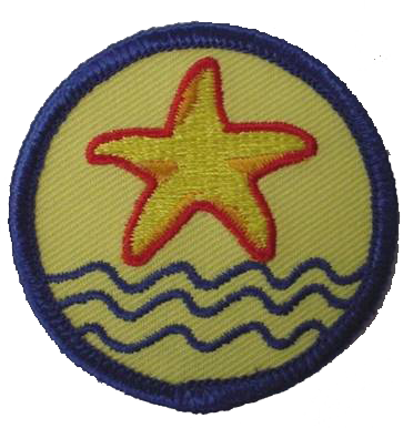 Benchmark Award Patch (10 pk)